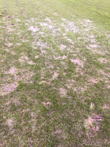 The waterlogged pitch at Tadcaster Albion